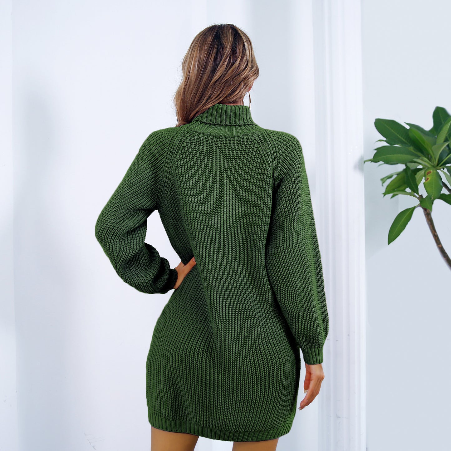 Long Sleeve Turtleneck Sweater Dress