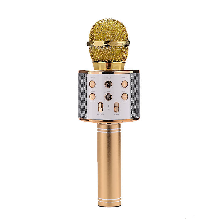 Microphone sans fil Portable Bluetooth